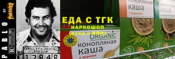 индика Абаза