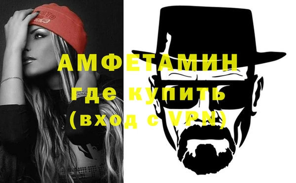 индика Абаза