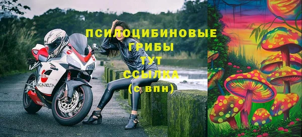 гашик Абинск