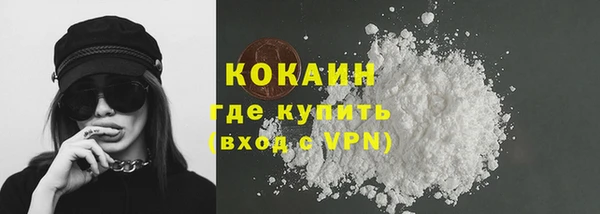 индика Абаза