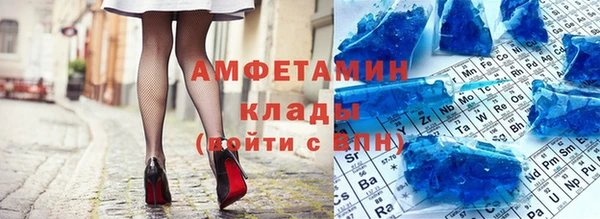 индика Абаза
