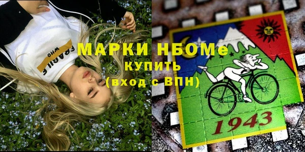 индика Абаза