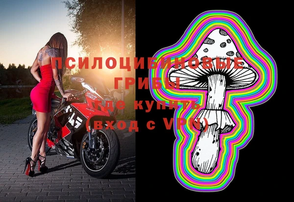 индика Абаза